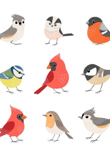 Winter birds collection poster