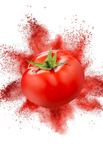 Tomato on white background poster