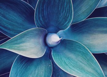 Blue floral ultraviolet poster