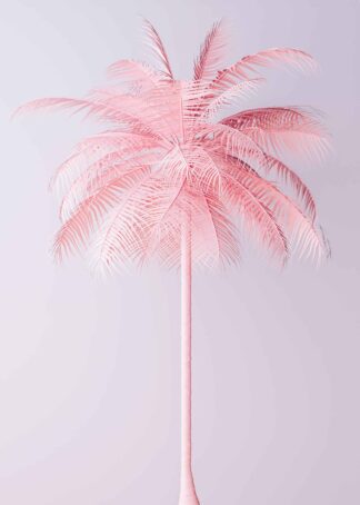 Pastel pink palm tree poster