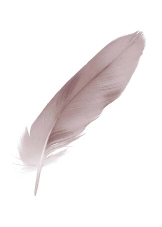 Beautiful violet – mauve soft feather painting poster