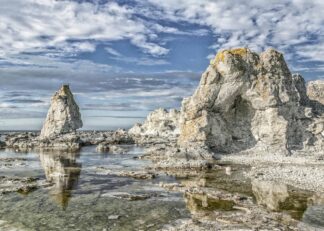 Limestone reef on Gotland Island poster