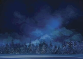 Vector winter night scene with pine forest poster