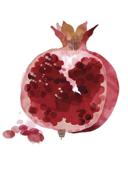 Watercolor pomegranate in half illustration poster