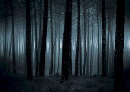 Dark and spooky forest poster