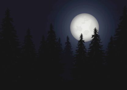 Pine trees under full moon vector illustration poster