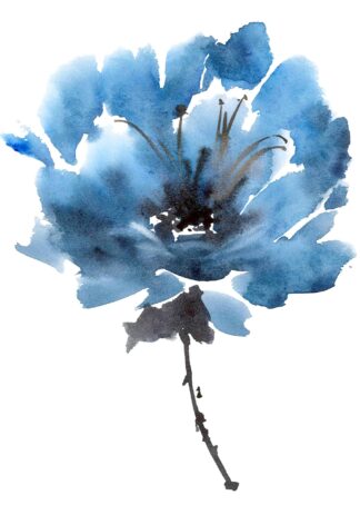 Watercolor blue peony flower poster