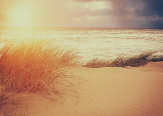 Large sand dune with beach grass poster