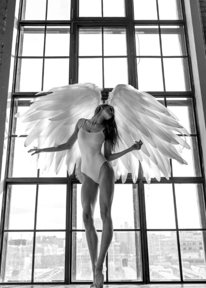 A girl with angel wing beside the window poster
