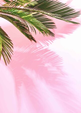 Palm leaves with a pastel background poster