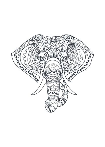 Boho elephant illustration poster