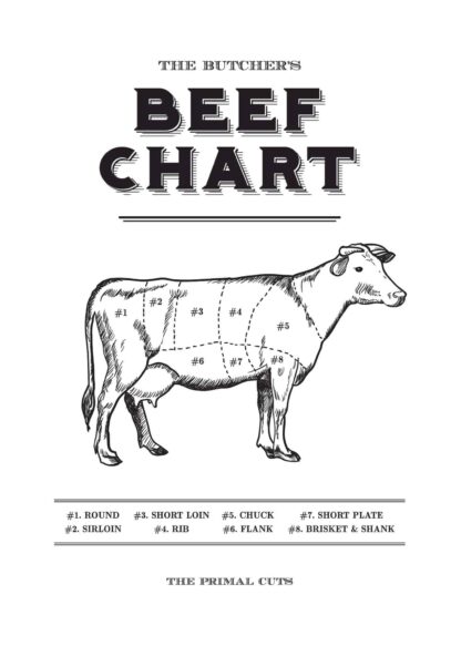 Beef primal cuts chart poster