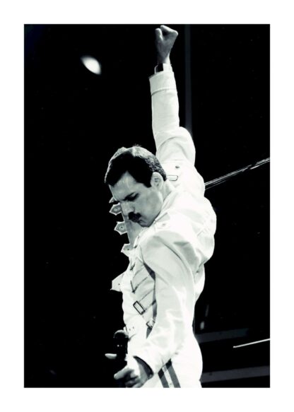 Freddie mercury poster