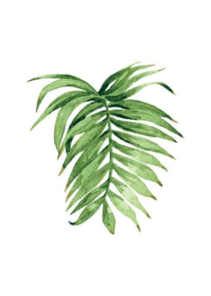 Palm leaf watercolor illustration poster