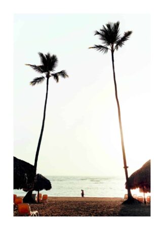 Palm-beach poster