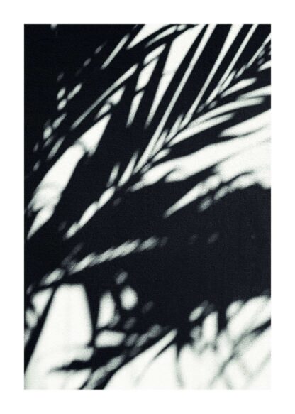 Palm shadow on wall poster