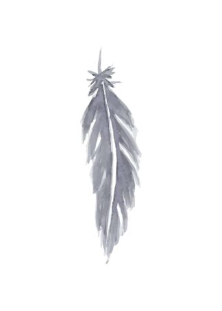 Gray feather watercolor poster