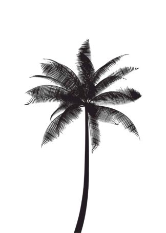 Palm tree illustration poster