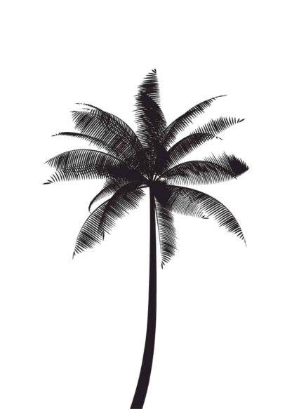 Palm tree illustration poster