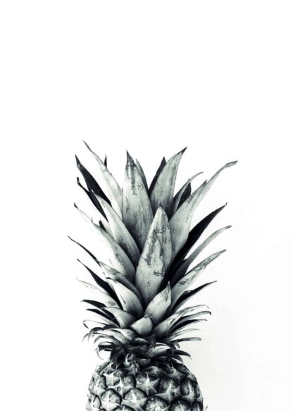 Pineapple black and white poster
