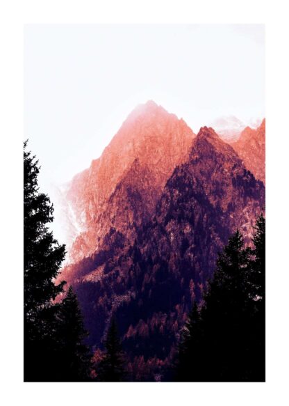 Green trees on mountain poster