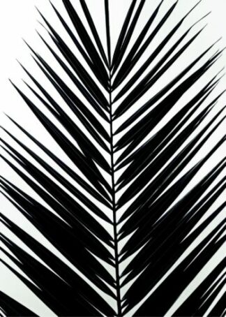 Palm leaf tropical poster