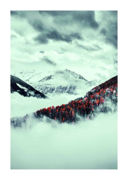 Snow in the red mountain forest poster
