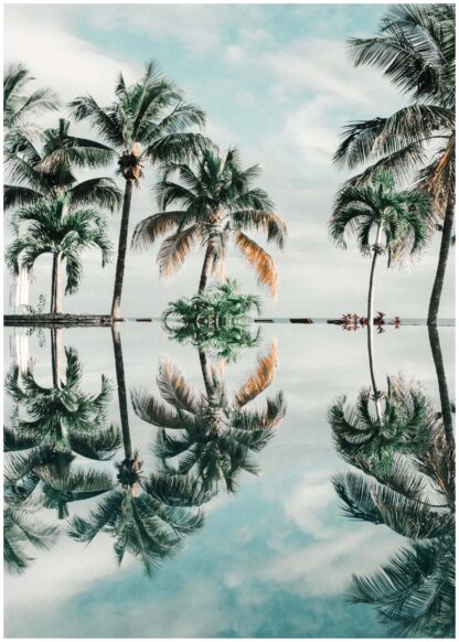 Reflection of palm trees in water poster