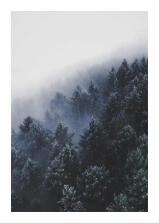 Foggy woods poster