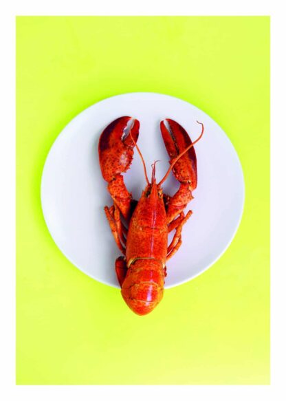 Lobster on a plate poster