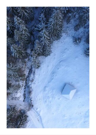 Snowy forest from above poster