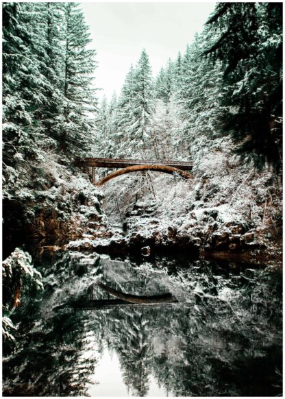 Bridge in woods poster