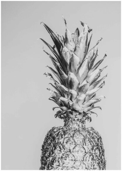 Monochrome pineapple poster