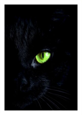 Black cat with green eye poster