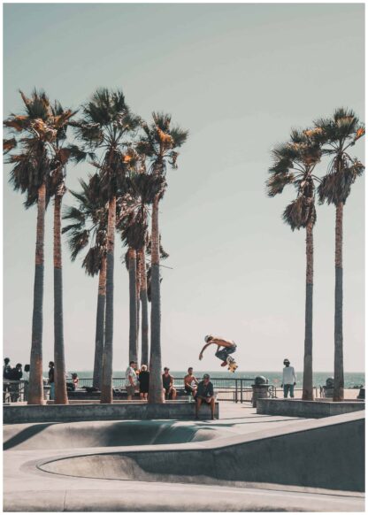 Skateboarding in Venice beach poster