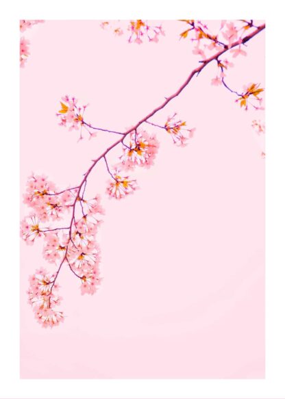 Pink tree with flowers poster