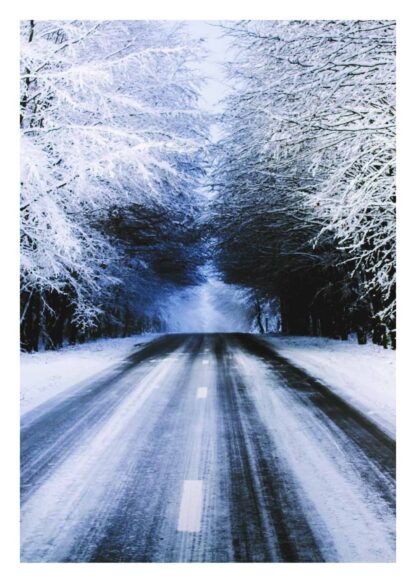Snowy road with trees poster
