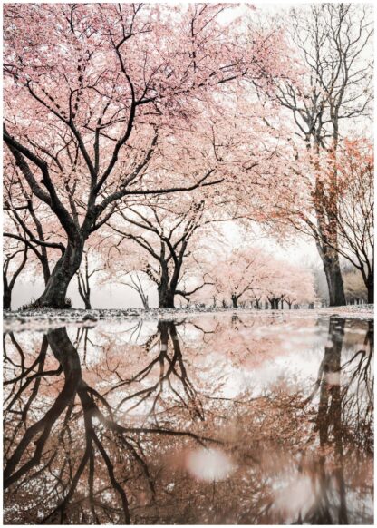 spring reflection on the water poster