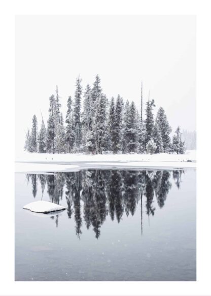 Trees reflection on water lake poster
