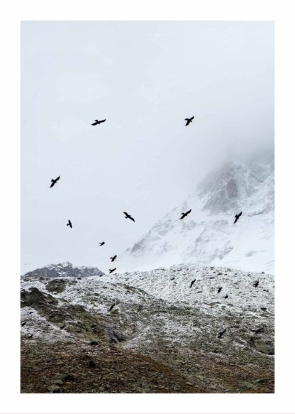 Flying birds in snowy landscape poster