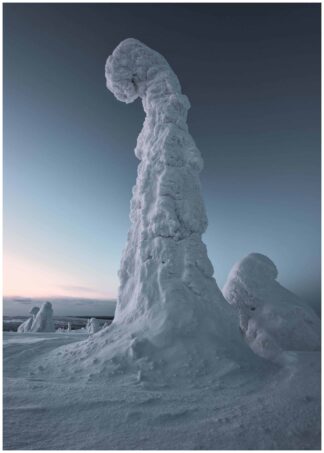 Frozen tree poster