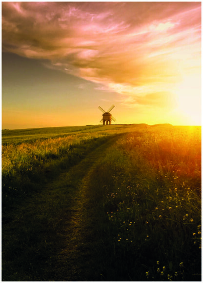 Sunset meadow field poster